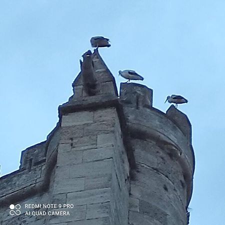 Logis Corneille I Apartman Narbonne Kültér fotó
